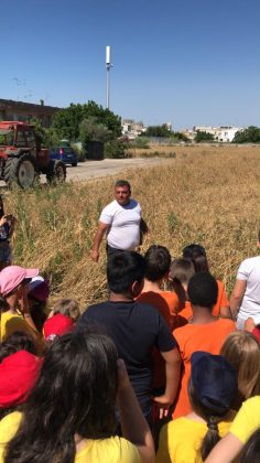 Sapori antichi e comunità: a Merine torna la 32ª Sagra te lu Ranu - Corriere Salentino