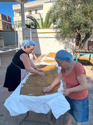 Sapori antichi e comunità: a Merine torna la 32ª Sagra te lu Ranu - Corriere Salentino