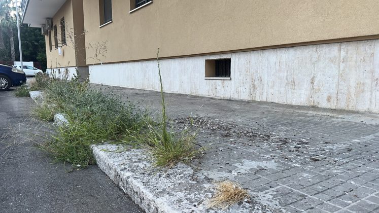 Santa Rosa nella morsa di blatte, topi e degrado: i residenti chiedono interventi immediati - Corriere Salentino
