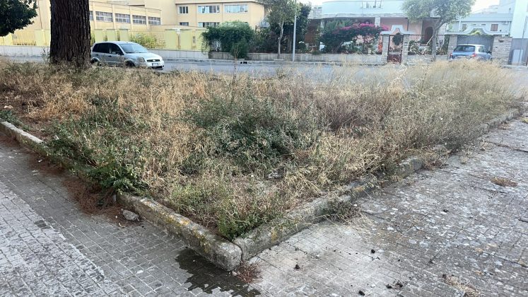 Santa Rosa nella morsa di blatte, topi e degrado: i residenti chiedono interventi immediati - Corriere Salentino