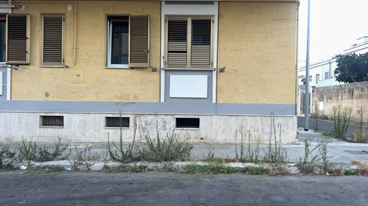 Santa Rosa nella morsa di blatte, topi e degrado: i residenti chiedono interventi immediati - Corriere Salentino