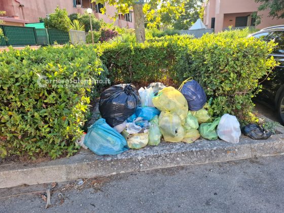 “Turismo cafone” a Torre dell’Orso: tra maleducazione e abbandono dei rifiuti - Corriere Salentino