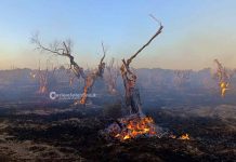 il comitato prevenzione incendi salento promuove un presidio pubblico Attualità - Corriere Salentino