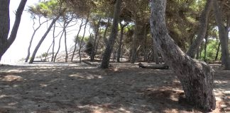 Home - Corriere Salentino