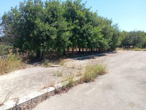 Area camper al Parco Baden Powell, il vicesindaco rassicura: “Nessun rallentamento, siamo nei tempi” - Corriere Salentino