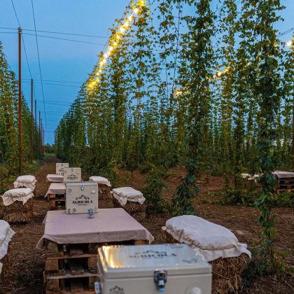 Buyer internazionali in Salento tra birrificio, luppoleto e Birra e Sound Festival: il 6 agosto visita a Birra Salento e serata con I Patagarri e Bar Italia - Corriere Salentino
