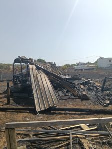 Tre cani morti nell’incendio a Carmiano, la famiglia sotto attacco: gli sciacalli del web non rispettano neppure il dolore - Corriere Salentino
