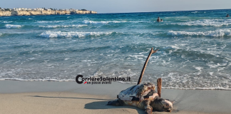 Home - Corriere Salentino