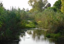 il salento più autentico si scopre a passo lento con i trekking di “esplorando” Ambiente - Corriere Salentino