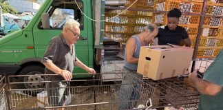 Home - Corriere Salentino