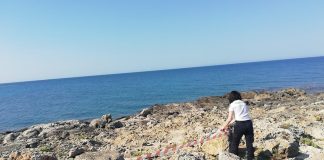 Home - Corriere Salentino