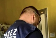quindici anni, la cuccia al sole e il caldo torrido: salvato un cane sul balcone Ambiente - Corriere Salentino