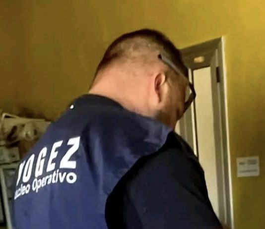 Gatto scomparso, la proprietaria denuncia in caserma: “Lo hanno ucciso”