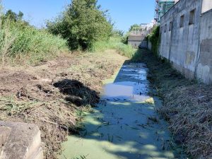 Baia Verde, l’allarme di una residente: “Baby gang, ville pollaio e controlli insufficienti: così non si può più vivere” - Corriere Salentino