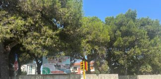 Home - Corriere Salentino