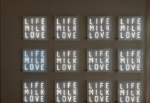 l’arte contemporanea attraversa il centro di salve: “intrecci 2026” – verso la città permeabile Arte e dintorni - Corriere Salentino