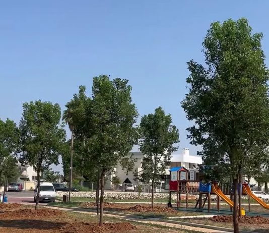 A pochi giorni dal rogo sulla Serra, Ruffano pianta 26 nuovi alberi nel Parco di via Torino