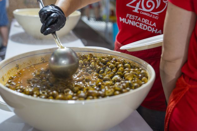 Cannole apre in grande i festeggiamenti dei quarant'anni di Festa della Municeddha - Corriere Salentino