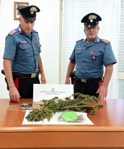 Ai domiciliari per furto e rapina spacciava in casa: finisce in carcere un 24enne - Corriere Salentino
