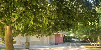 Home - Corriere Salentino