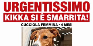 Home - Corriere Salentino