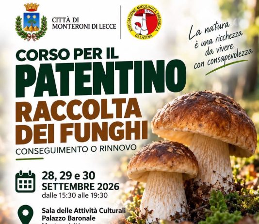 Monteroni, tre giorni di corso per ottenere o rinnovare il patentino per la raccolta dei funghi