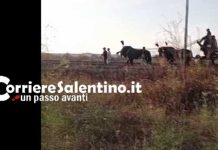 Cronaca - Corriere Salentino
