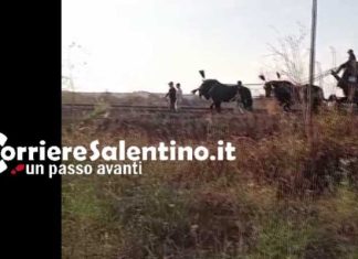 Sodalizio nato dalle ceneri dei vecchi boss: chiesta condanna per decine di imputati