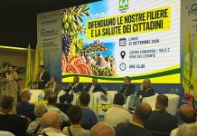 filiere: in puglia il 13% degli adulti è obeso e il 35,9% dei bambini è in eccesso di peso Attualità - Corriere Salentino