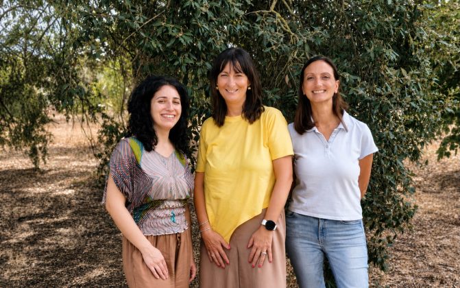 Xylella, temperature al suolo più alte di 2,4 °c la ricerca di Unisalento: “Foreste al posto degli ulivi” - Corriere Salentino