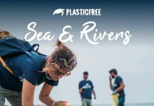 puglia: sea & rivers, dodici appuntamenti plastic free tra spiagge, parchi e città Ambiente - Corriere Salentino