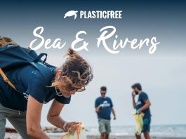 puglia: sea & rivers, dodici appuntamenti plastic free tra spiagge, parchi e città Ambiente - Corriere Salentino