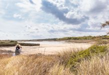 dune costiere, wwf: alle cesine una giornata per scoprire gli ecosistemi che proteggono le coste Ambiente - Corriere Salentino