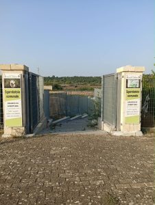 Mistero nello sgambatoio: cinque giorni di ricerche ma la cucciola Kikka non si trova - Corriere Salentino