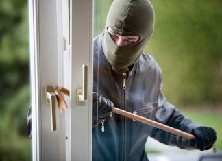 Sicurezza, risultati concreti dalla collaborazione tra vigilanza privata e Forze dell’ordine