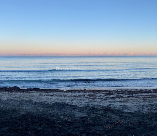 Il Mare Parla Molte Lingue: il 3 ottobre a San Cataldo i ragazzi inaugurano l’aiuola “Radici sul Mare”
