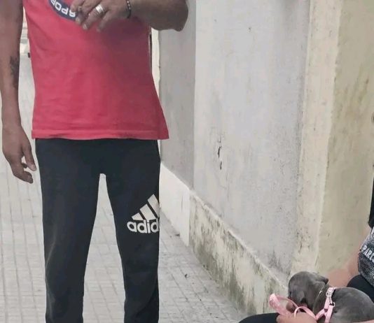 Ancora per strada con un cucciolo di cane, provvedimenti nei confronti di un senzatetto