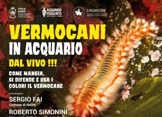 Conoscere (e coesistere con) il vermocane, un incontro all’Acquario del Salento
