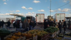 Taviano, gli studenti del “De Viti De Marco” di Casarano alla scoperta del mondo dell’agricoltura salentina e del mercato - Corriere Salentino