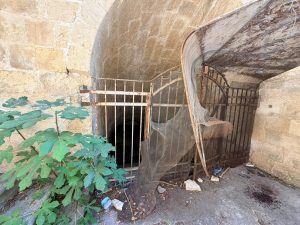 Villa comunale, il progetto è pronto ma il degrado non aspetta: sicurezza e controlli restano la priorità - Corriere Salentino