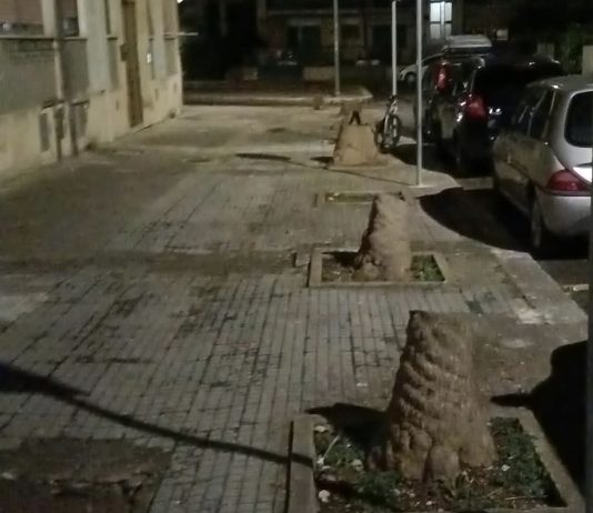 Lupiae, terremoto disciplinare senza precedenti: colpiti per il “caso Yucche”, pec a due coordinatori e a un dirigente