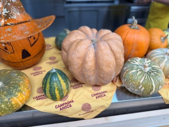 Halloween, zucche a macchia di leopardo produzione giù del 15% nel barese ma + 20% nel leccese. Boom di interesse dalla padella alle sculture mostruose - Corriere Salentino