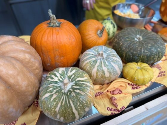 Halloween, zucche a macchia di leopardo produzione giù del 15% nel barese ma + 20% nel leccese. Boom di interesse dalla padella alle sculture mostruose - Corriere Salentino