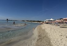 Ambiente - Corriere Salentino