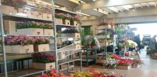 Home - Corriere Salentino