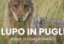 Ambiente - Corriere Salentino