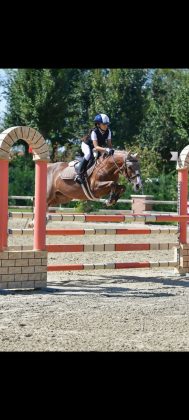 Fiera Cavalli Verona: la squadra pugliese pronta per la Coppa delle Regioni Pony - Corriere Salentino