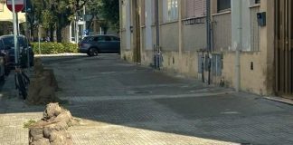 Home - Corriere Salentino