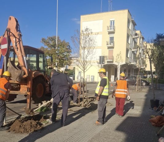 Lecce, a Santa Rosa arrivano 15 nuovi alberi al posto delle yucche e marciapiedi rimessi a nuovo. Ma c’è anche un esposto