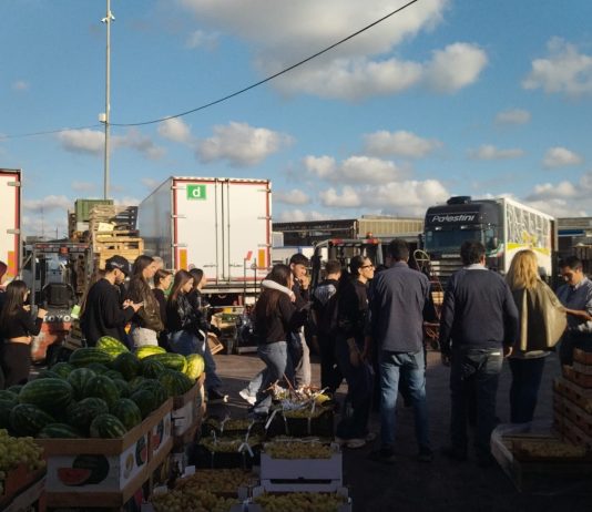 Taviano, gli studenti del “De Viti De Marco” di Casarano alla scoperta del mondo dell’agricoltura salentina e del mercato